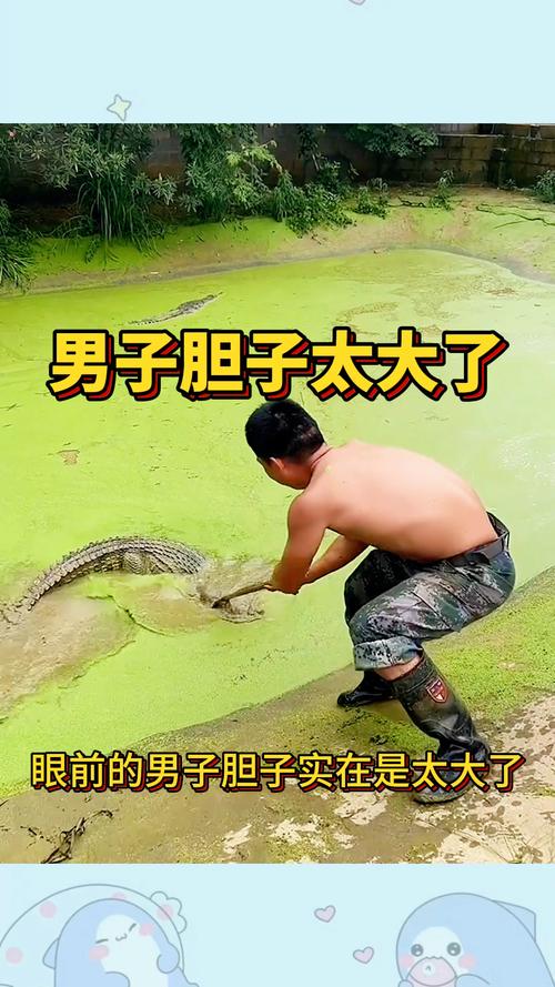 admin 第24页