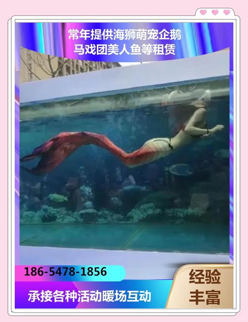澳门资料百科:海洋馆员工脚踢海狮