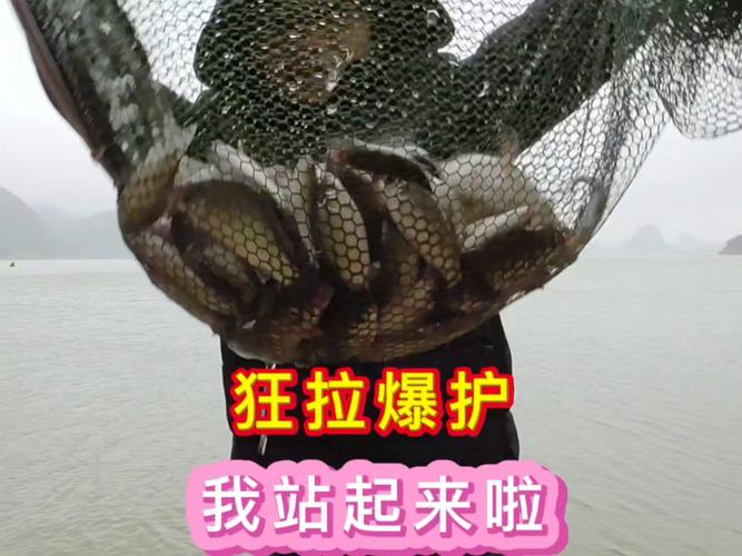 2025澳门天天开好彩大全2023:保护区里的疯狂垂钓