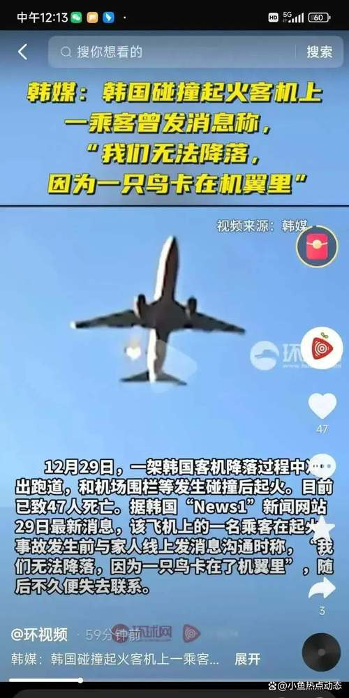 澳彩资料大全部网站010:韩国坠机致4人遇难