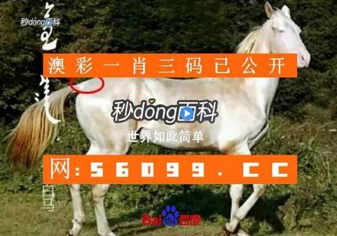 澳彩资料大全部网站010:住院801天434天空床