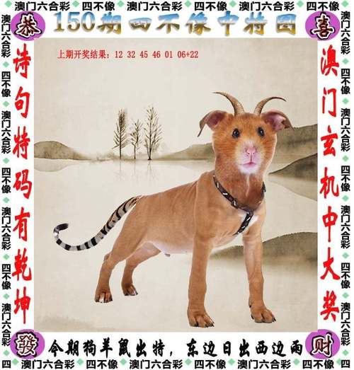 新澳彩免费长期资料大全:数百囚犯趁地震越狱